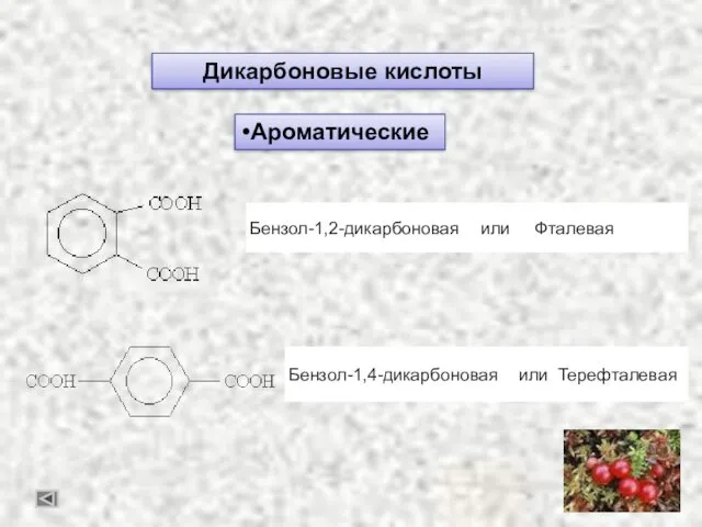 Дикарбоновые кислоты Ароматические