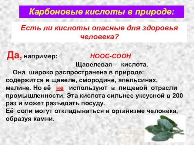 Карбоновые кислоты в природе: Есть ли кислоты опасные для здоровья