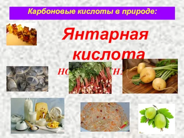 Карбоновые кислоты в природе: Янтарная кислота НООС-СН2-СН2-СООН