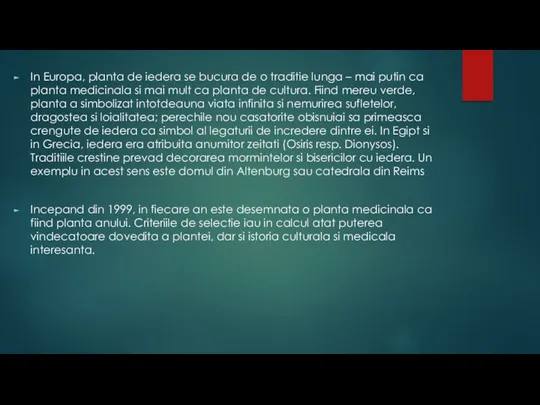 In Europa, planta de iedera se bucura de o traditie