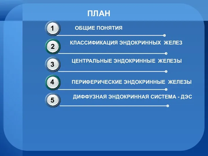 ПЛАН ОБЩИЕ ПОНЯТИЯ КЛАССИФИКАЦИЯ ЭНДОКРИННЫХ ЖЕЛЕЗ ЦЕНТРАЛЬНЫЕ ЭНДОКРИННЫЕ ЖЕЛЕЗЫ ПЕРИФЕРИЧЕСКИЕ