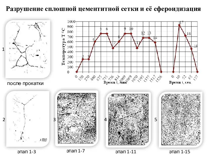 Разрушение сплошной цементитной сетки и её сфероидизация этап 1-7 этап 1-3 этап 1-11