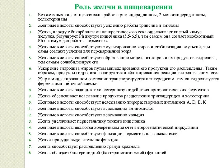 Роль желчи в пищеварении Без желчных кислот невозможна работа триглицеридлипазы,