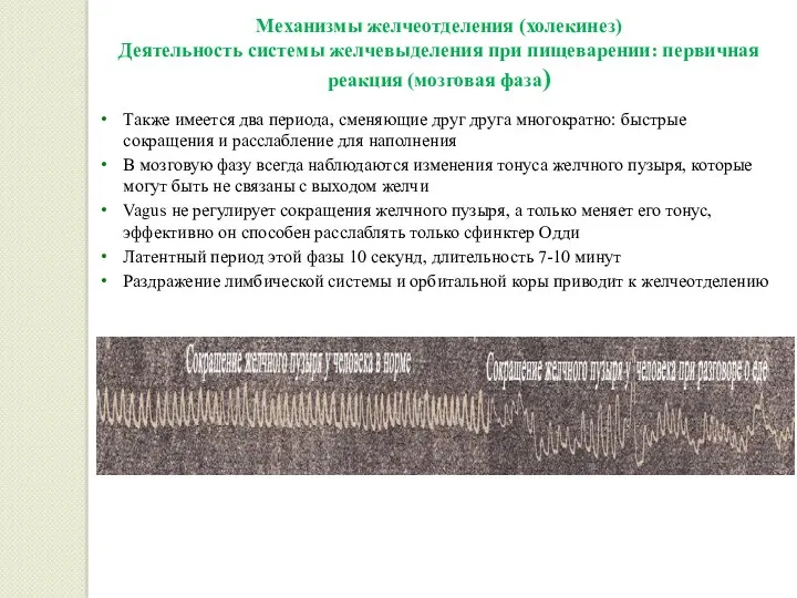 Механизмы желчеотделения (холекинез) Деятельность системы желчевыделения при пищеварении: первичная реакция