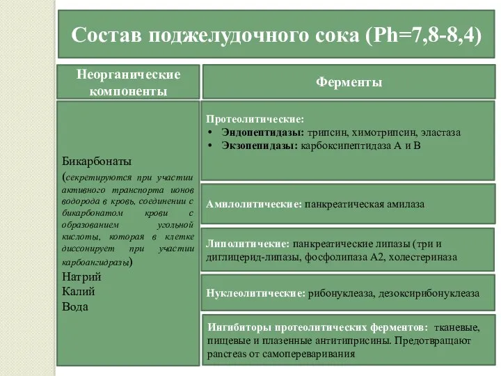 Состав поджелудочного сока (Ph=7,8-8,4) Бикарбонаты (секретируются при участии активного транспорта