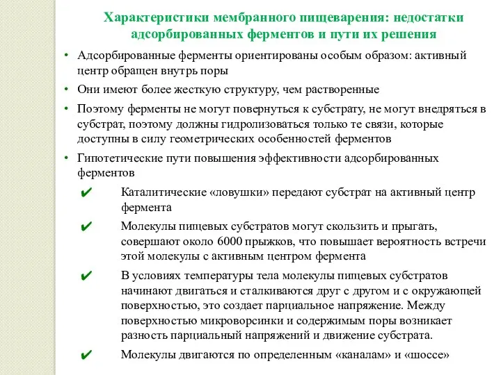 Характеристики мембранного пищеварения: недостатки адсорбированных ферментов и пути их решения