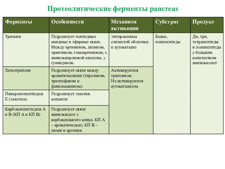 Протеолитические ферменты pancreas