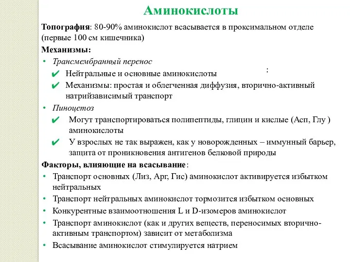 Аминокислоты Топография: 80-90% аминокислот всасывается в проксимальном отделе (первые 100