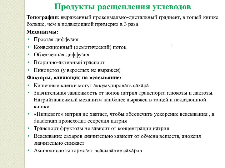 Продукты расщепления углеводов Топография: выраженный проксимально-дистальный градиент, в тощей кишке