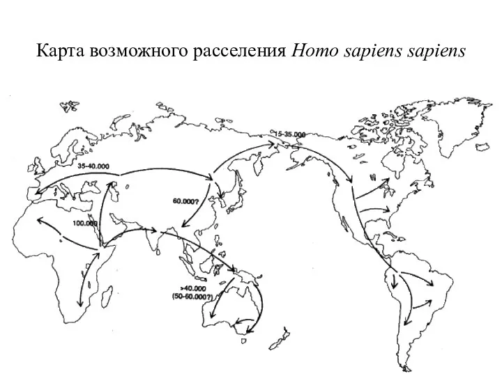 Карта возможного расселения Homo sapiens sapiens