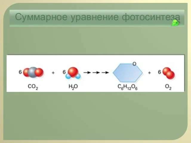 Суммарное уравнение фотосинтеза