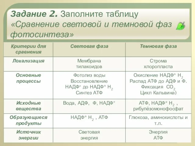 Задание 2. Заполните таблицу «Сравнение световой и темновой фаз фотосинтеза»