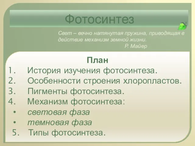 План История изучения фотосинтеза. Особенности строения хлоропластов. Пигменты фотосинтеза. Механизм