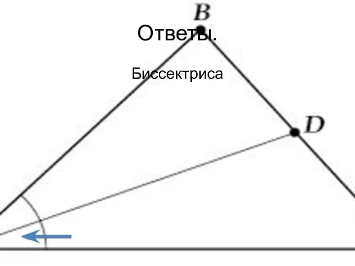 Ответы. Биссектриса