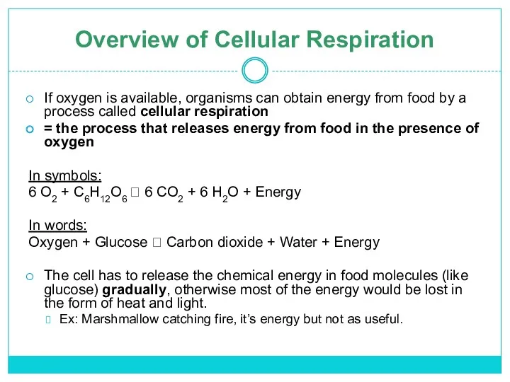 Overview of Cellular Respiration If oxygen is available, organisms can