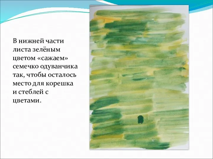 В нижней части листа зелёным цветом «сажаем» семечко одуванчика так,