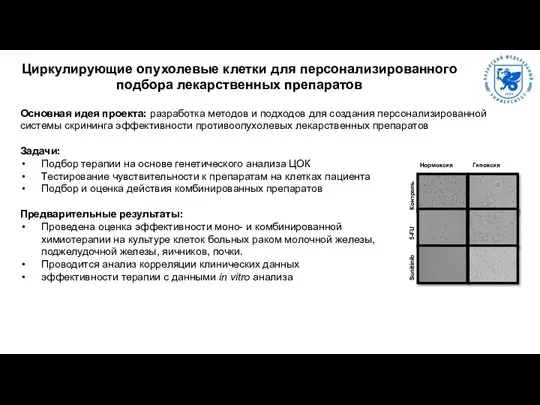 Основная идея проекта: разработка методов и подходов для создания персонализированной