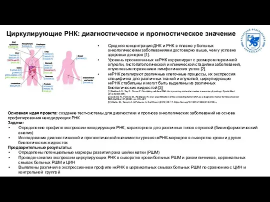 Циркулирующие РНК: диагностическое и прогностическое значение Средняя концентрация ДНК и