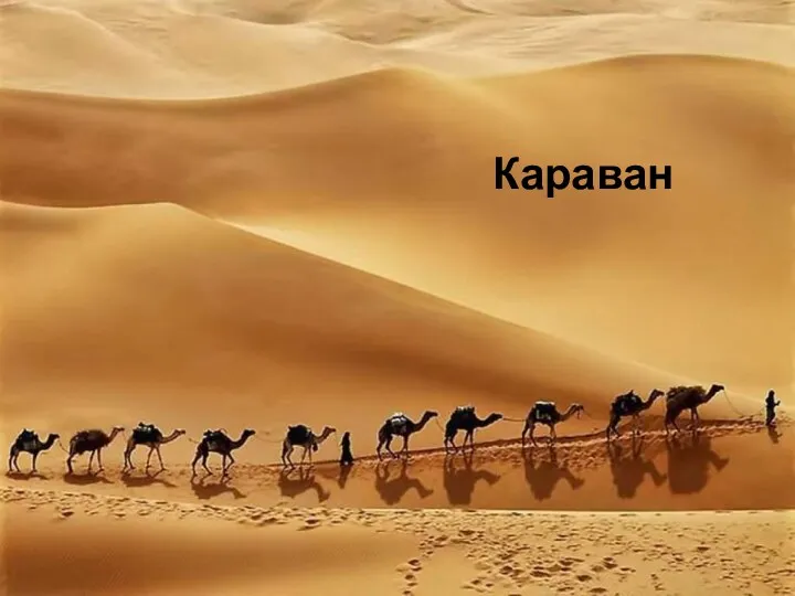 Караван Караван