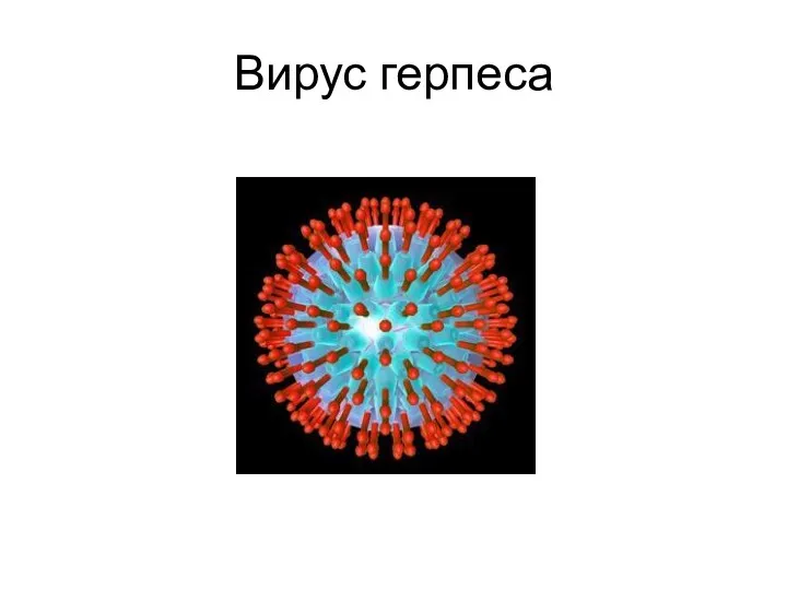 Вирус герпеса