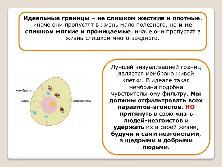 Идеальные границы – не слишком жесткие и плотные, иначе они