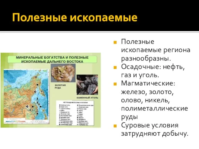 Полезные ископаемые Полезные ископаемые региона разнообразны. Осадочные: нефть, газ и