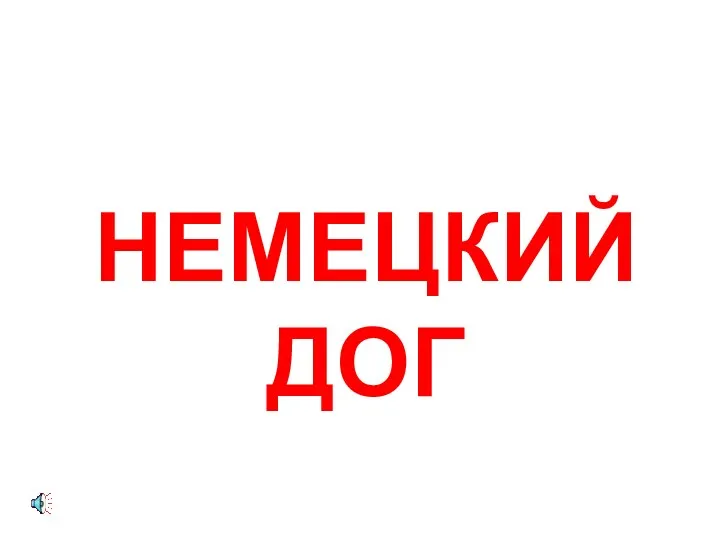 НЕМЕЦКИЙ ДОГ