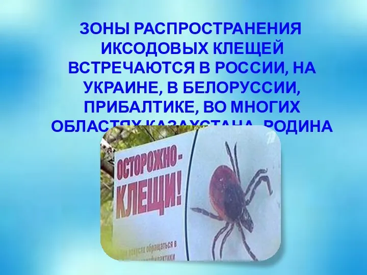 ЗОНЫ РАСПРОСТРАНЕНИЯ ИКСОДОВЫХ КЛЕЩЕЙ ВСТРЕЧАЮТСЯ В РОССИИ, НА УКРАИНЕ, В