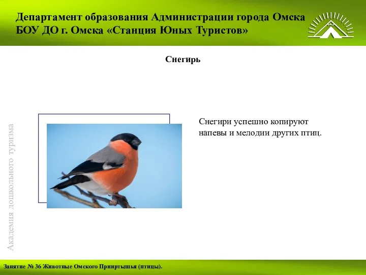 Департамент образования Администрации города Омска БОУ ДО г. Омска «Станция