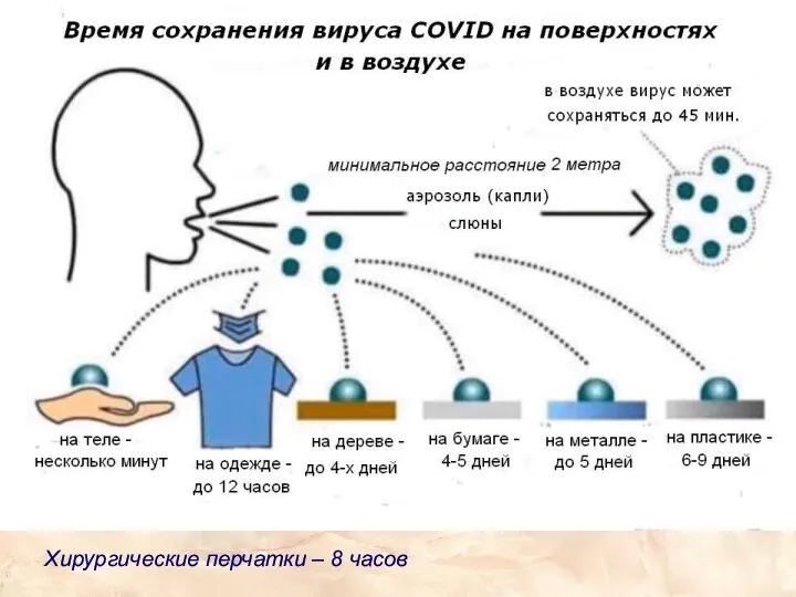 Хирургические перчатки – 8 часов