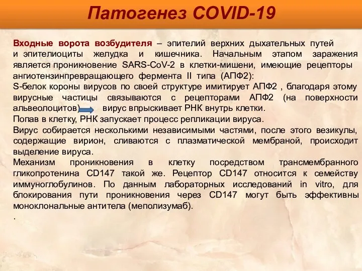 Входные ворота возбудителя – эпителий верхних дыхательных путей и эпителиоциты