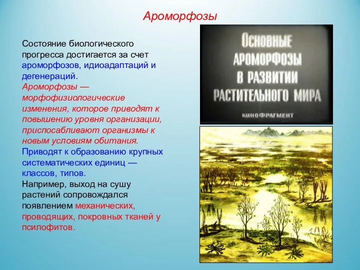 Состояние биологического прогресса достигается за счет ароморфозов, идиоадаптаций и дегенераций.