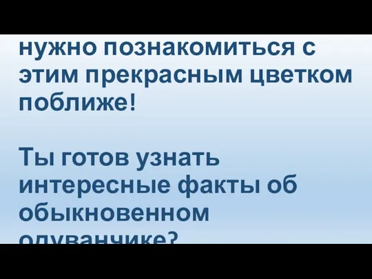 Прежде чем нарисовать, нужно познакомиться с этим прекрасным цветком поближе!