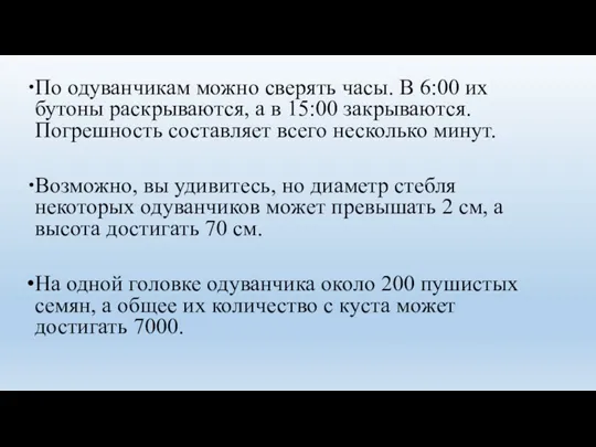 По одуванчикам можно сверять часы. В 6:00 их бутоны раскрываются,