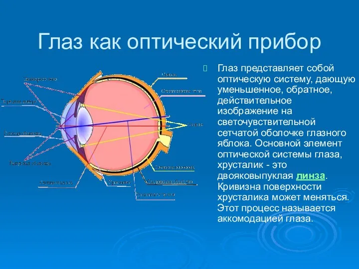 Глаз как оптический прибор Глаз представляет собой оптическую систему, дающую