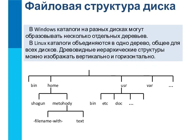 Файловая структура диска В Windows каталоги на разных дисках могут