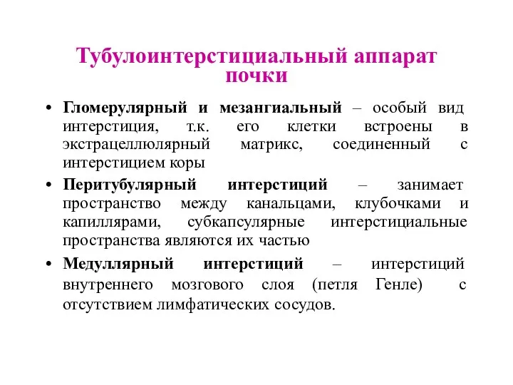 Тубулоинтерстициальный аппарат почки Гломерулярный и мезангиальный – особый вид интерстиция,