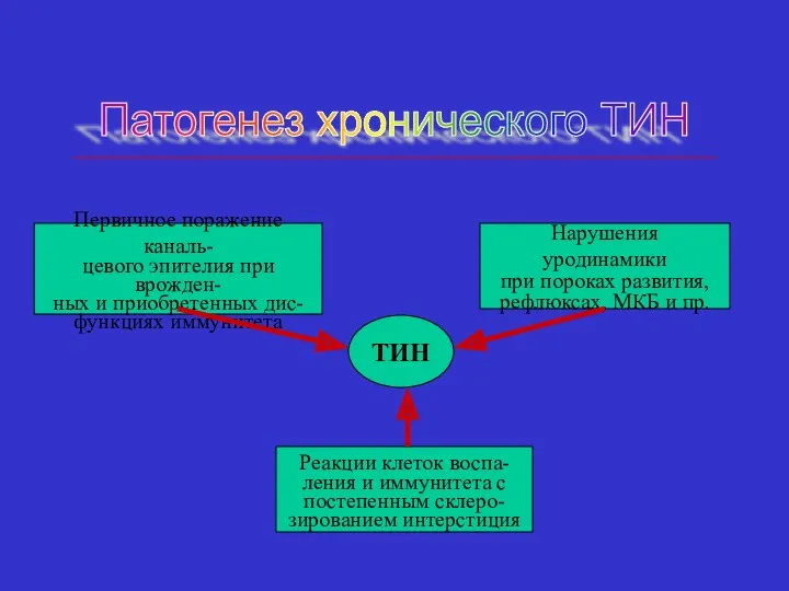 Патогенез хронического ТИН ТИН Первичное поражение каналь- цевого эпителия при