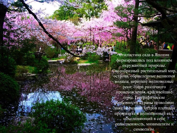 Стилистика сада в Японии формировалась под влиянием окружающей природы. Своеобразный растительный мир, острова,