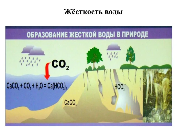 Жёсткость воды