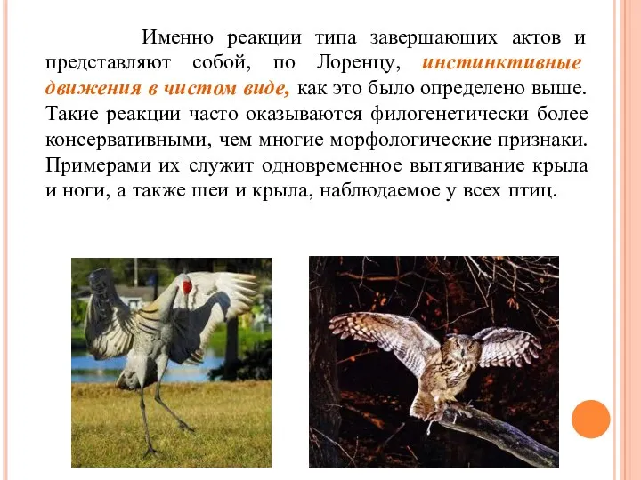 Именно реакции типа завершающих актов и представляют собой, по Лоренцу,