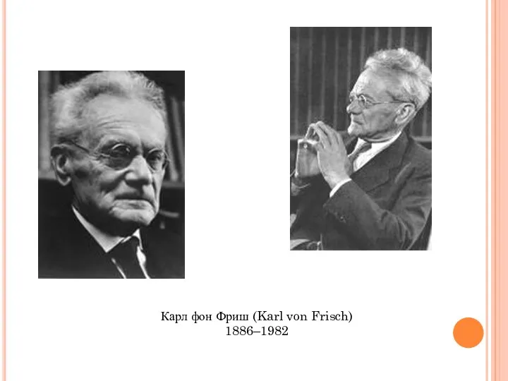 Карл фон Фриш (Karl von Frisch) 1886–1982