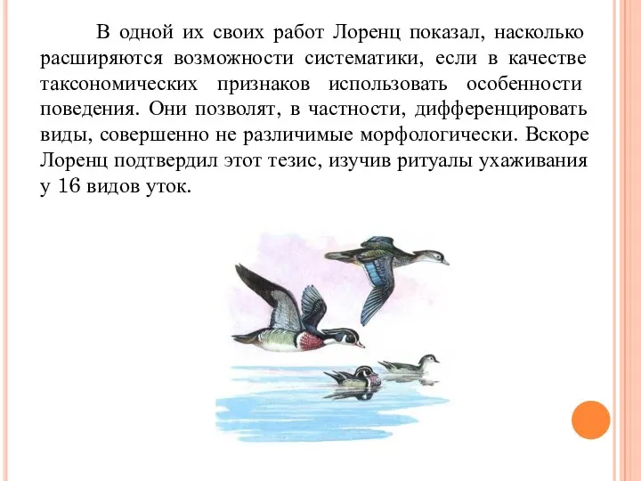 В одной их своих работ Лоренц показал, насколько расширяются возможности