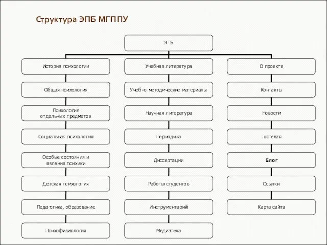 Структура ЭПБ МГППУ