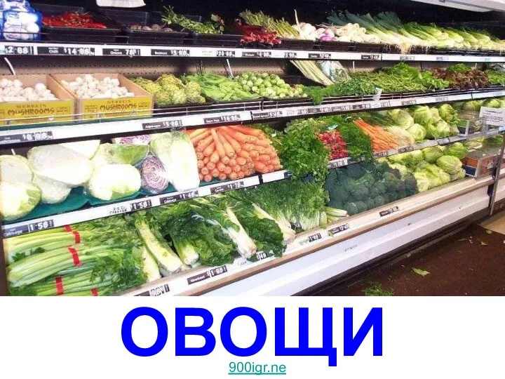 ОВОЩИ Овощи 900igr.net