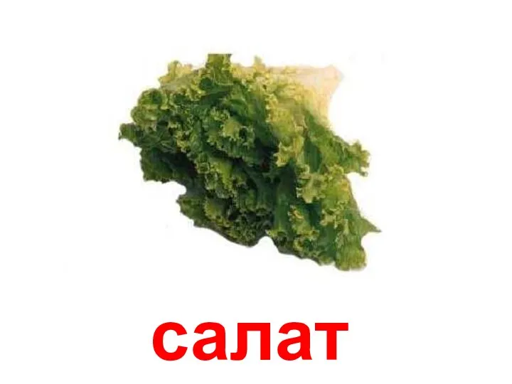 салат Салат