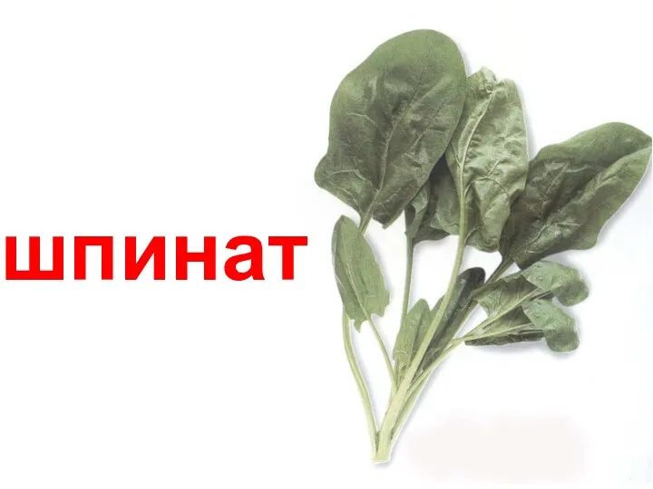 шпинат Шпинат