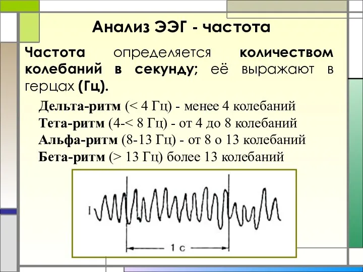 Анализ ЭЭГ - частота Частота определяется количеством колебаний в секунду;