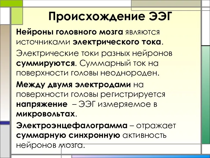 Происхождение ЭЭГ Нейроны головного мозга являются источниками электрического тока. Электрические