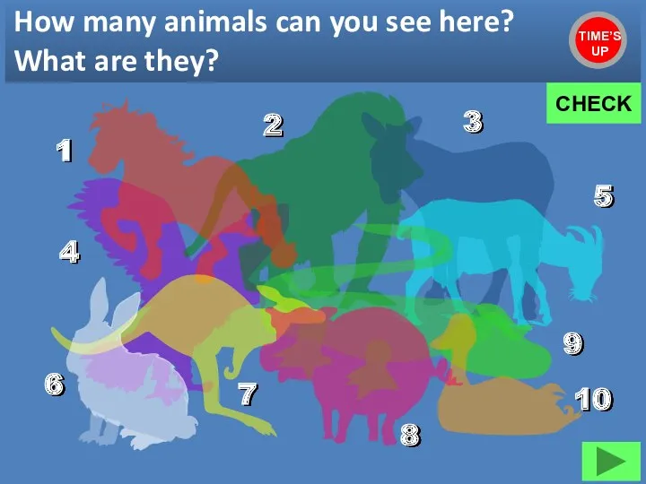 How many animals can you see here? What are they?